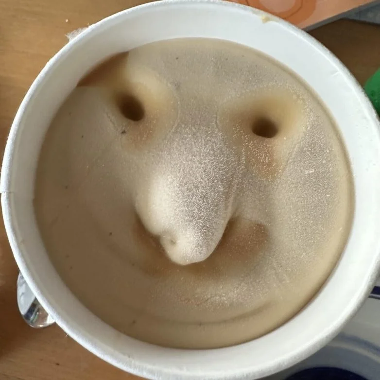 Необычные вещи, которые можно найти вокруг себя