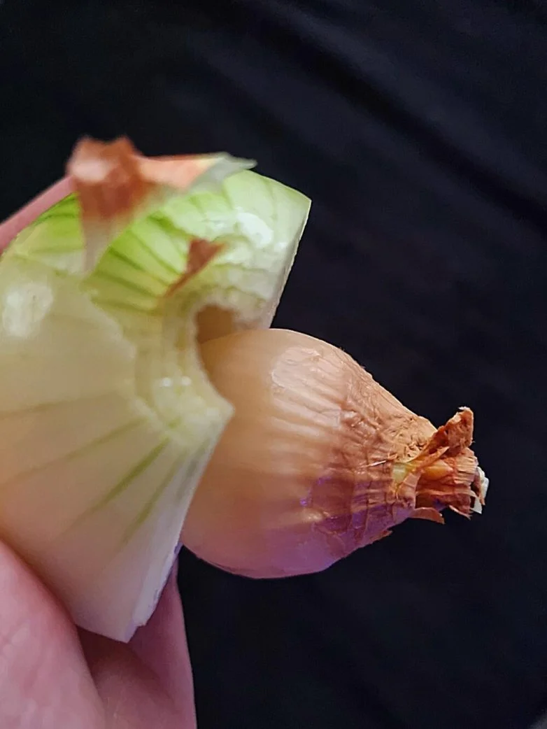 Необычные вещи, которые можно найти вокруг себя