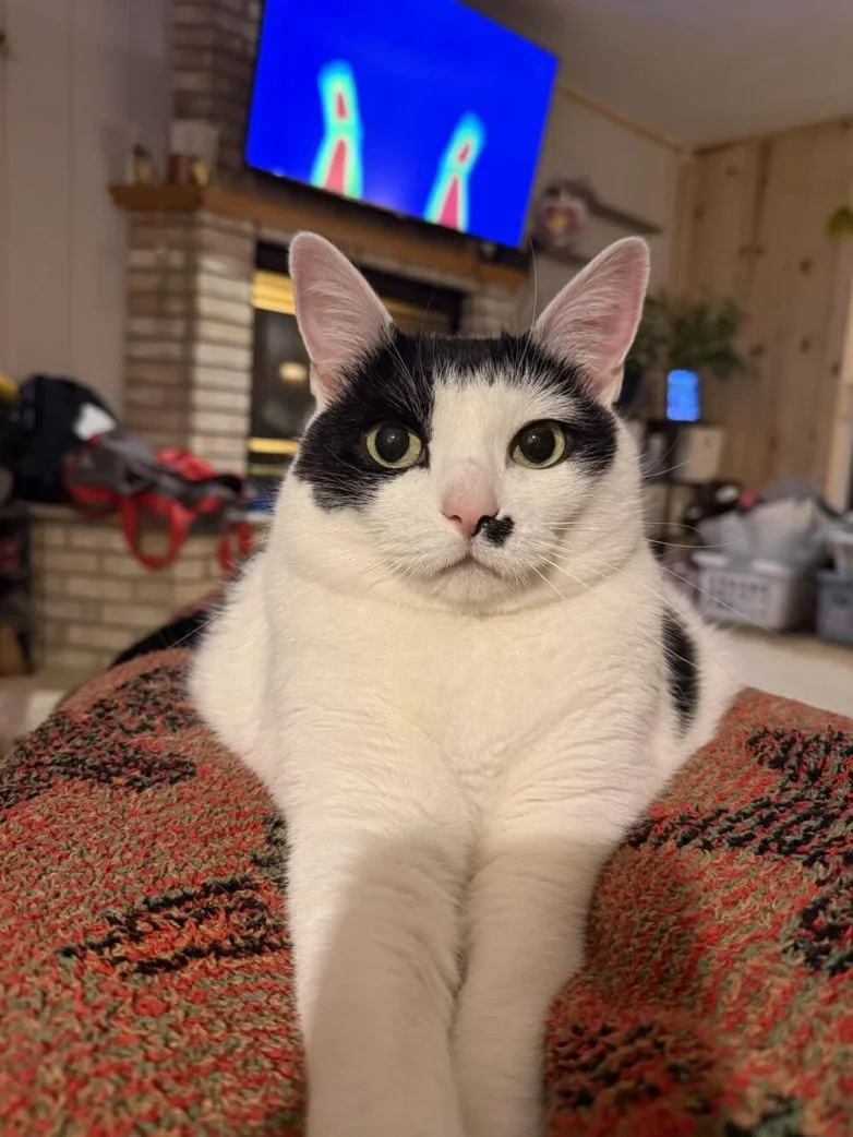 Необычные вещи, которые можно найти вокруг себя