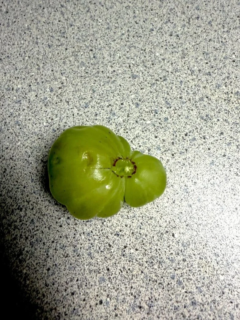 Необычные вещи, которые можно найти вокруг себя