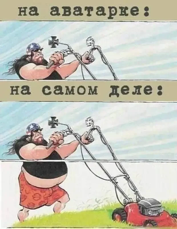 Короткие истории и анекдоты, от которых становится теплее