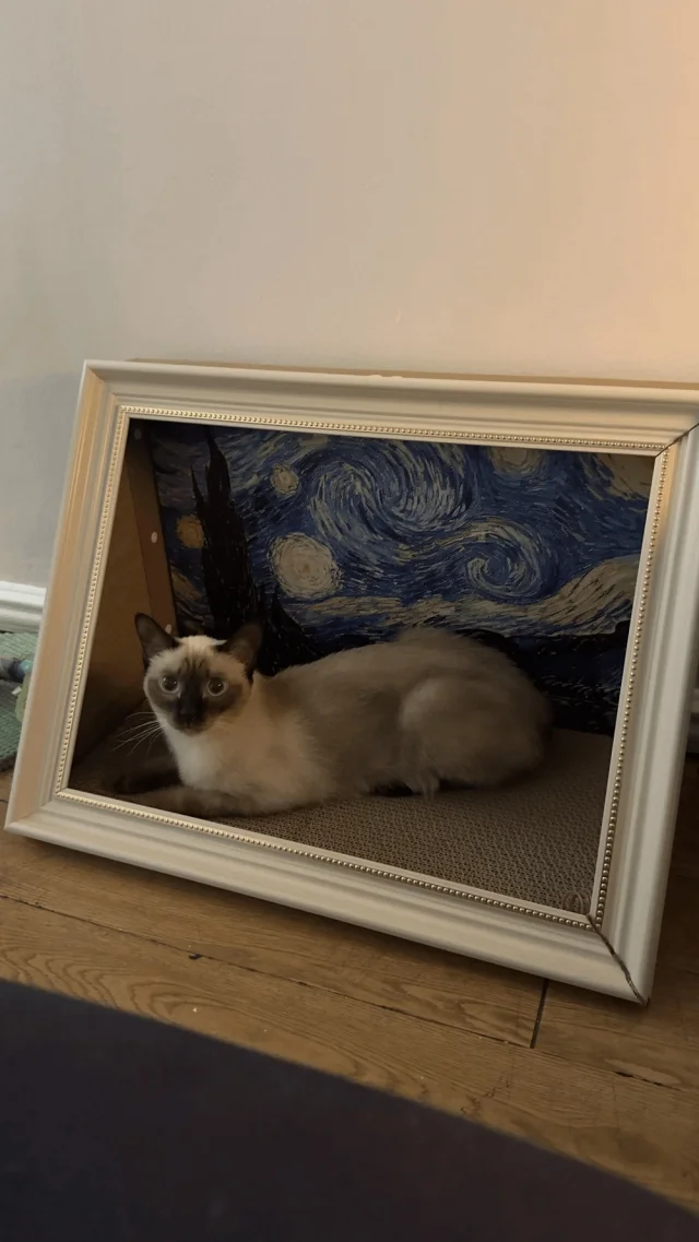 Загадочные оптические иллюзии: фото, которые обманывают ваш мозг