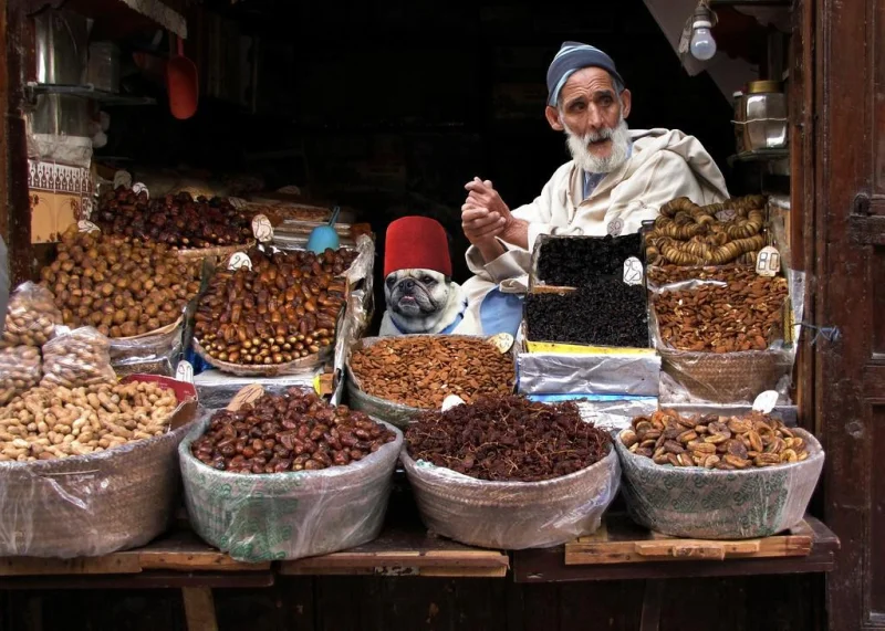 От Марокко до Мексики: как торгуют на улицах в разных уголках планеты — 22 фотографии