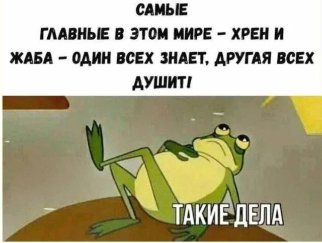 Улыбка без условий: простая подборка для хорошего настроения