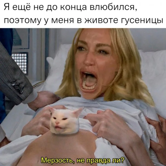 Взрыв смеха: лучшие мемы для идеального понедельника