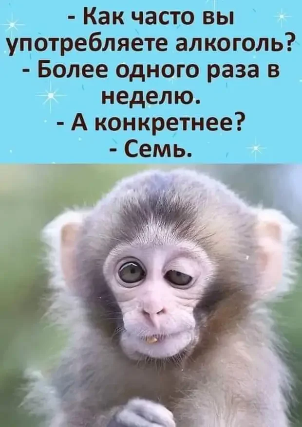 Забавные истории и анекдоты на каждый день