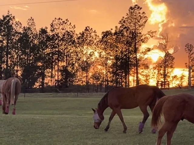 Загадочные оптические иллюзии: фото, которые обманывают ваш мозг