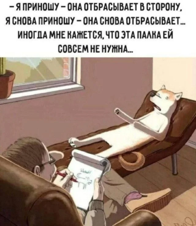 Улыбка без условий: простая подборка для хорошего настроения