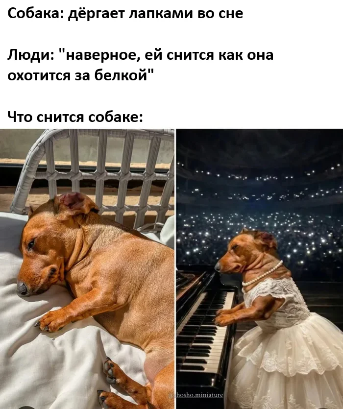 Взрыв смеха: лучшие мемы для идеального понедельника