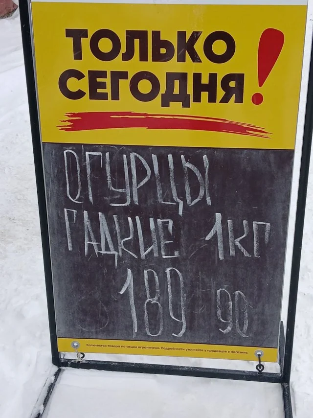 Взрыв смеха: лучшие мемы для идеального понедельника