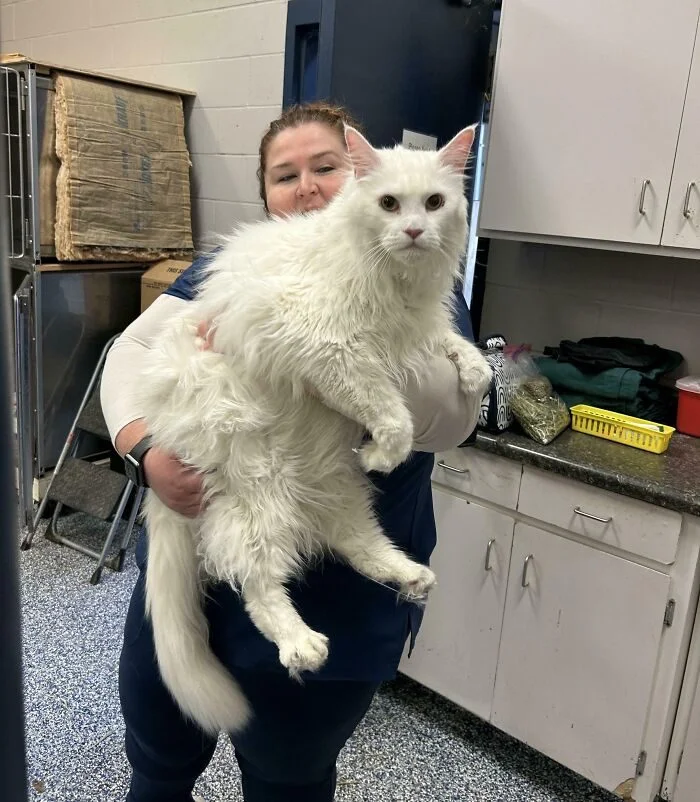 Мир полон сюрпризов: 17 фотографий, которые вас удивят