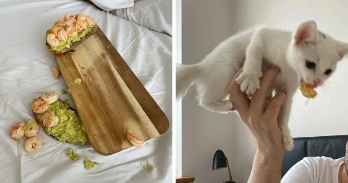 Когда судьба решила пошутить: нелепые и смешные неудачи