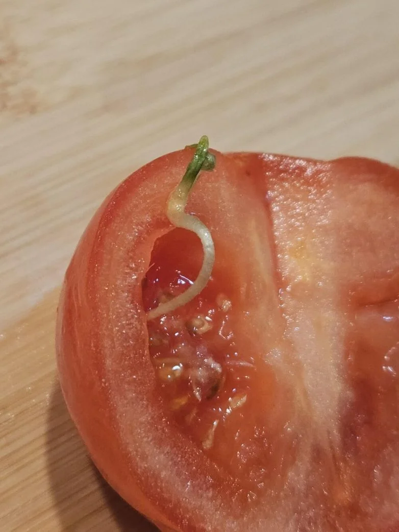 Необычные вещи, которые можно найти вокруг себя