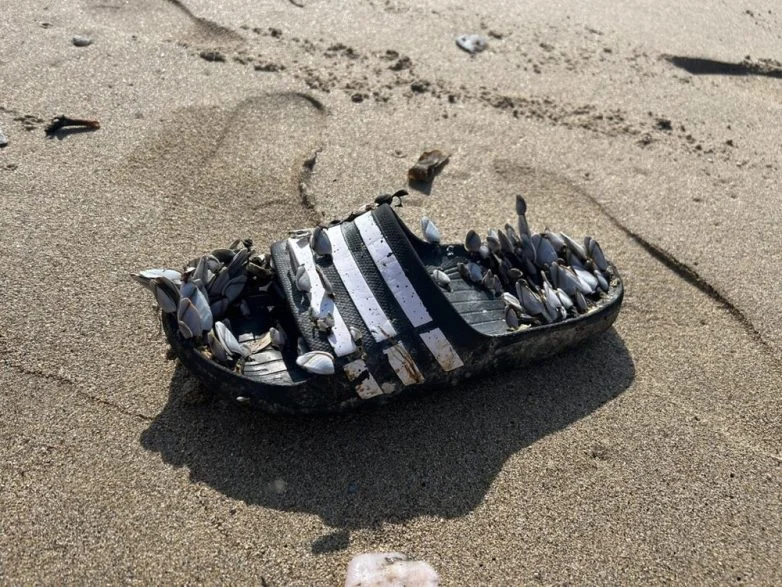 Необычные вещи, которые можно найти вокруг себя