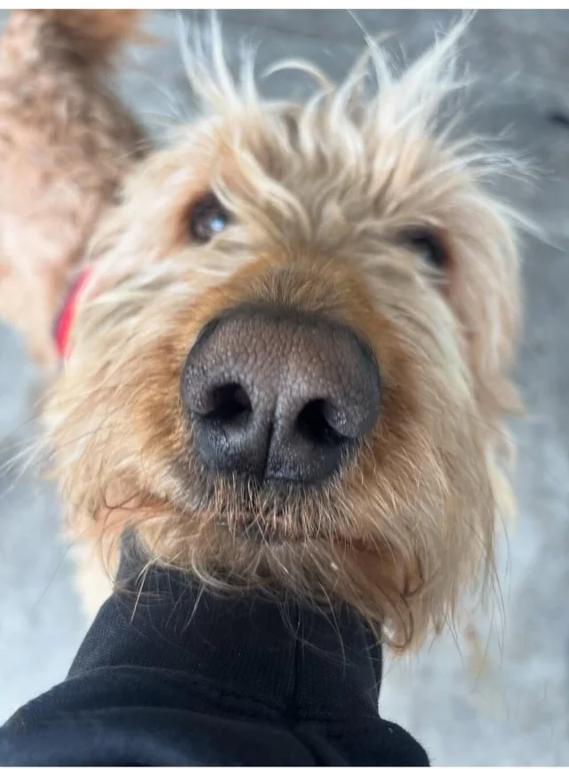 Загадочные оптические иллюзии: фото, которые обманывают ваш мозг