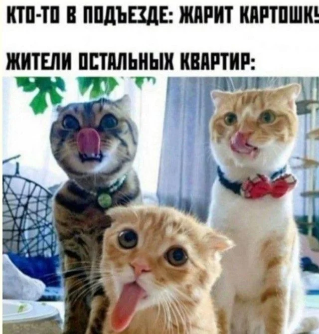 Неловкие моменты, которые попали в кадр