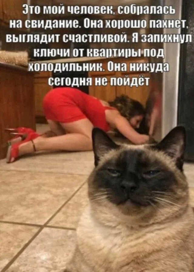 Неловкие моменты, которые попали в кадр