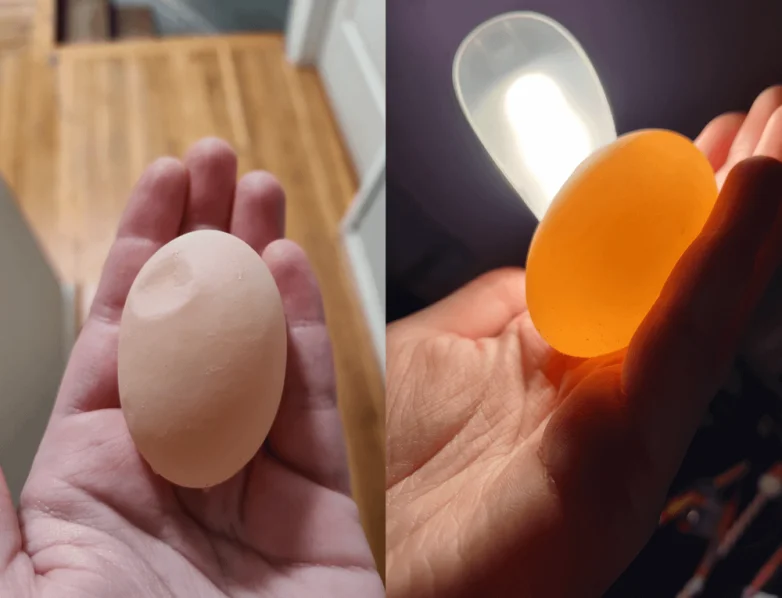 Необычные вещи, которые можно найти вокруг себя