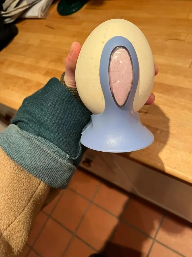 Загадочные предметы быта: назначение странных вещей, которые нас окружают