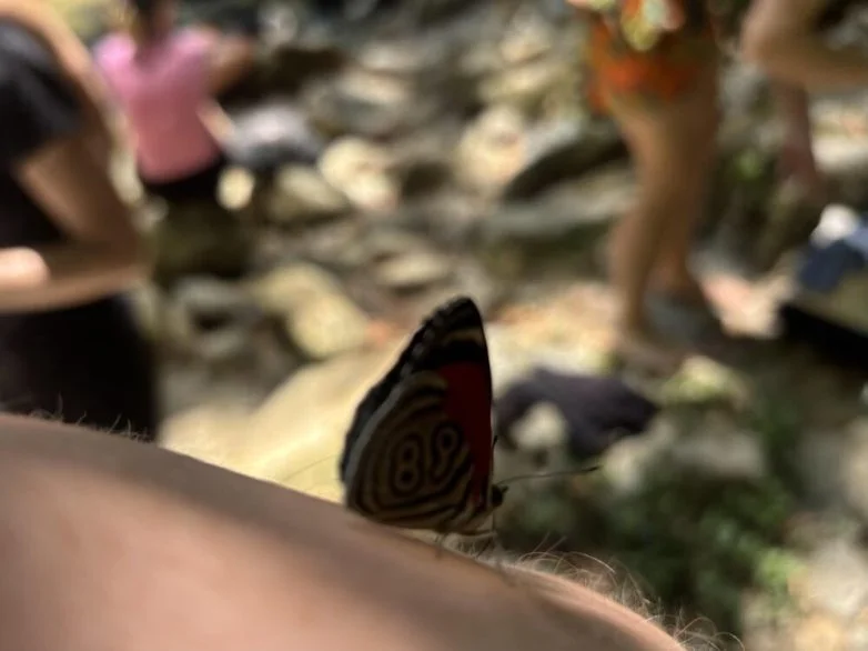 Необычные вещи, которые можно найти вокруг себя