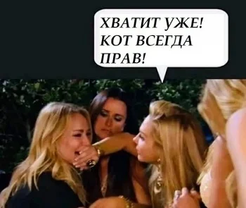 Как кот Гарик открыл для себя любовь и стал героем дачного посёлка