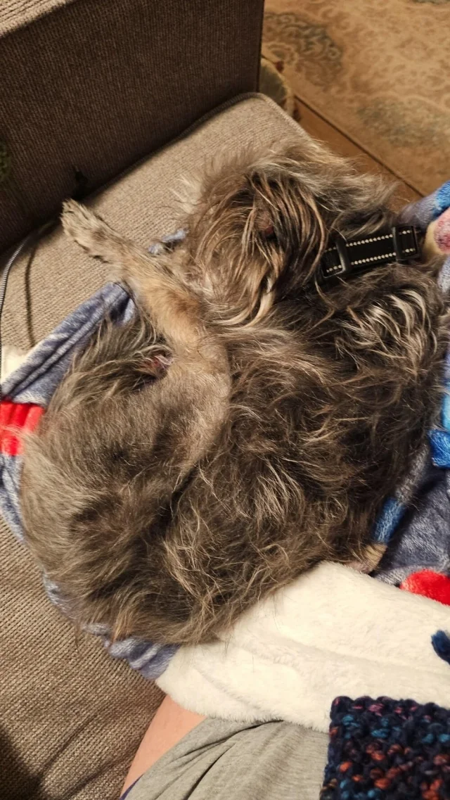 Загадочные оптические иллюзии: фото, которые обманывают ваш мозг