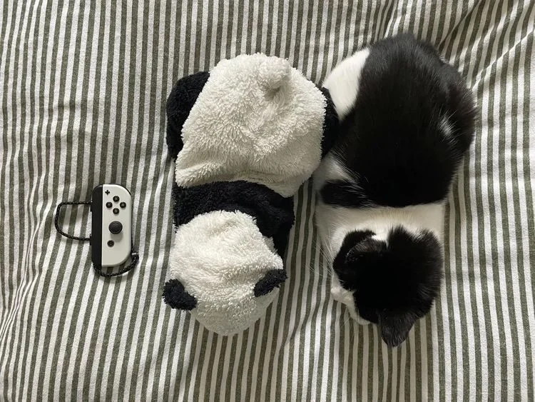 Мир полон сюрпризов: 17 фотографий, которые вас удивят