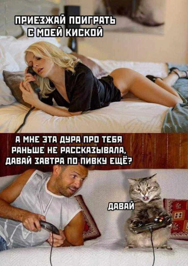 Взрыв смеха: лучшие мемы для идеального понедельника