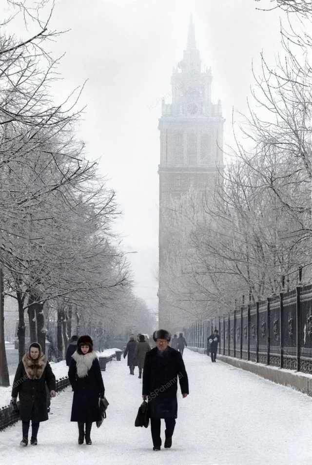 Воронеж 1960-х годов: архивные фотографии городской жизни Воронеж в 1960-е: как жил город на старых фотографиях