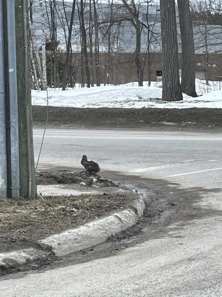 Необычные вещи, которые можно найти вокруг себя