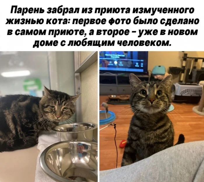 Отборные приколы в мемах и картинках для вашего хорошего настроения