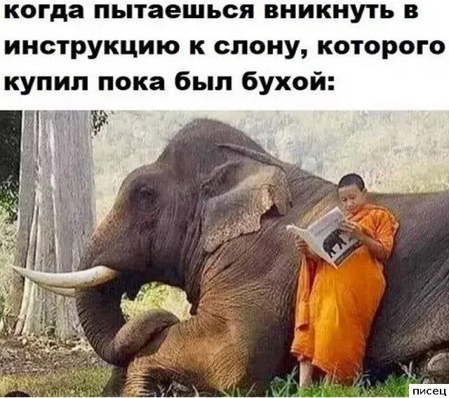 Смешные приколы Писца на тему «Когда»