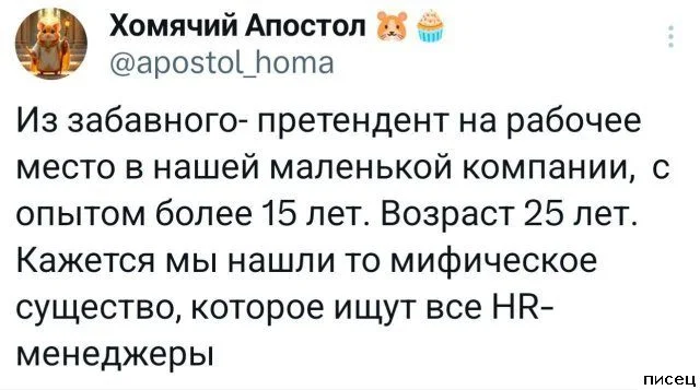 Работа не волк: 20 смешных фото с рабочего места