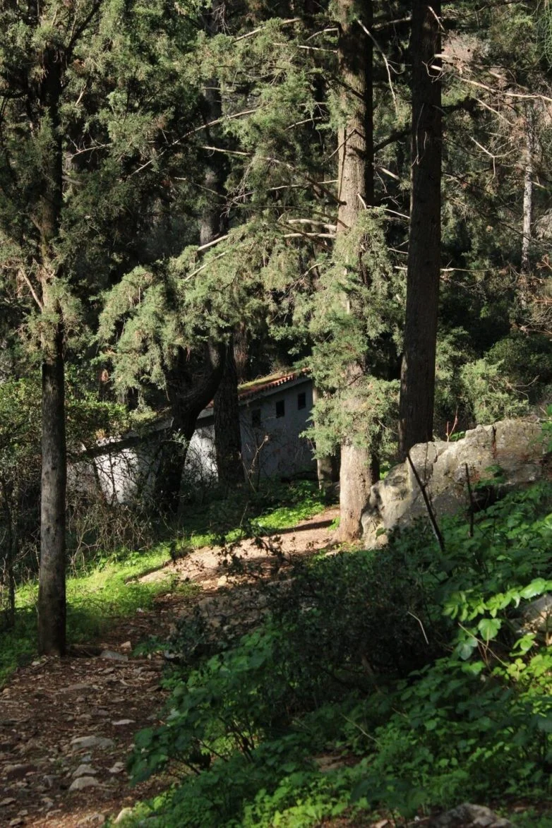 Дом — это больше, чем стены: подборка уникальных домов со всего мира