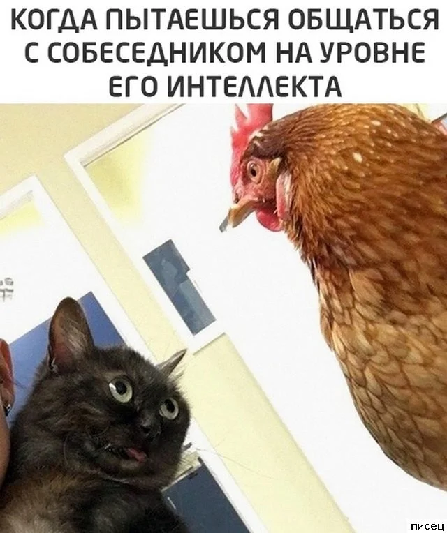 Смешные приколы Писца на тему «Когда»