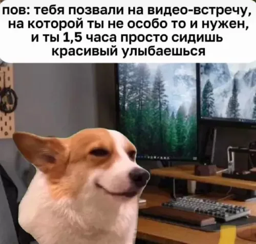 Забавные мемы и картинки для хорошего настроения