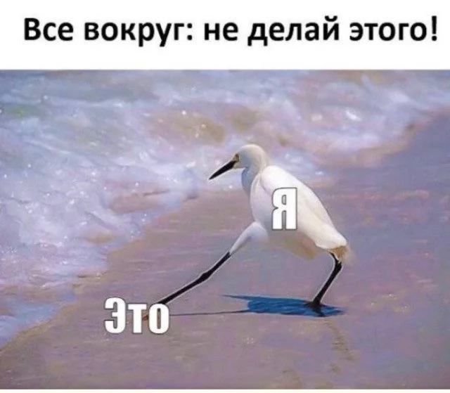 Юмор в чистом виде: подборка забавных картинок