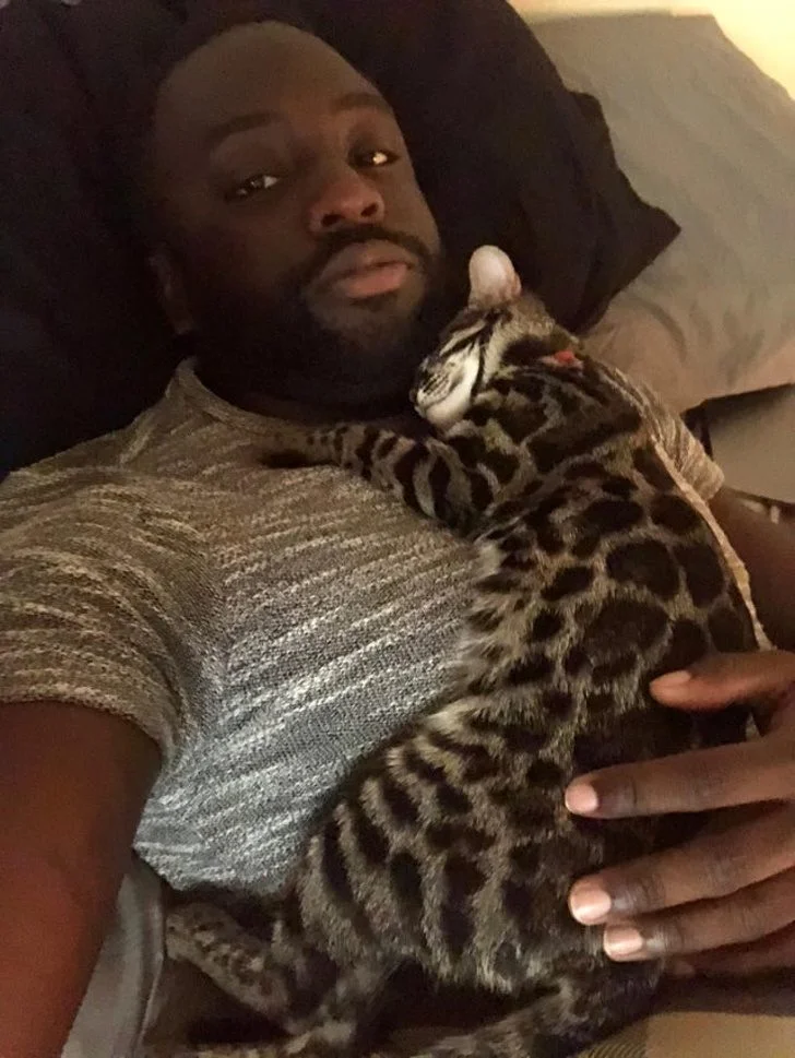 Нежные и заботливые: кошки, которые ломают стереотипы