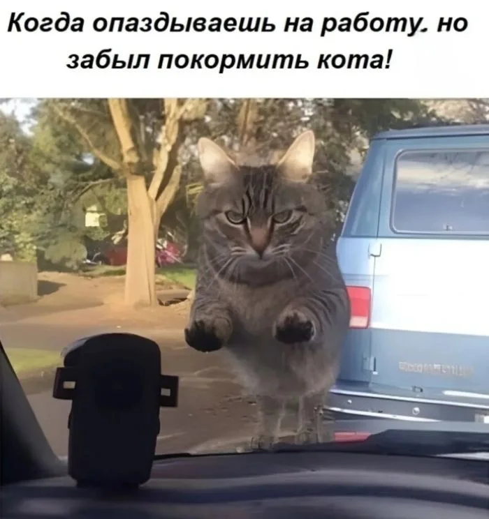 Отборные приколы в мемах и картинках для вашего хорошего настроения