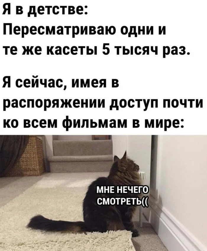 Забавные мемы и картинки для хорошего настроения