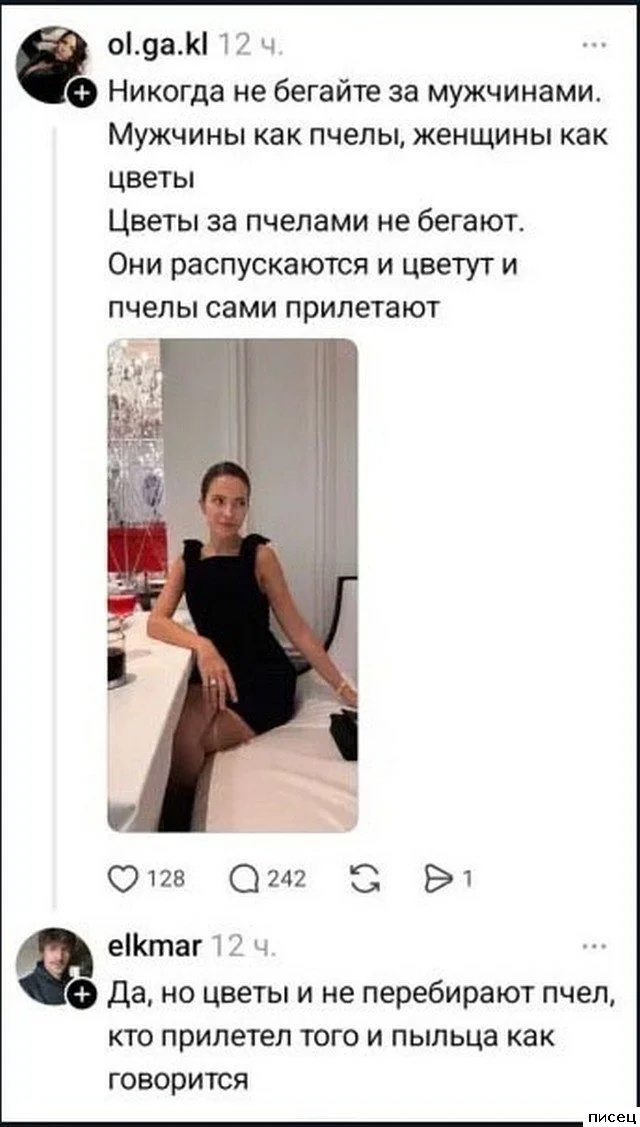 Галерея уморительных комментариев из социальных сетей