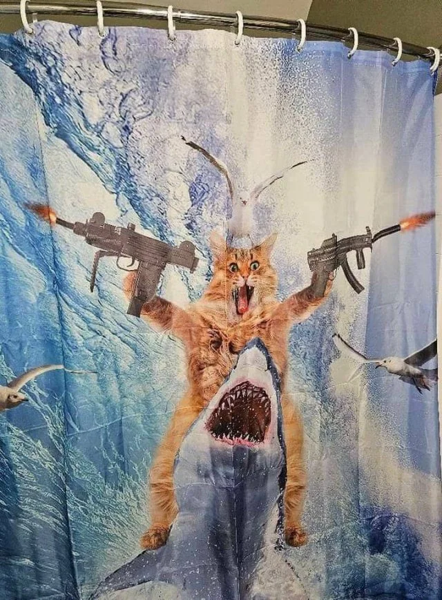 Вечерняя подборка забавных картинок