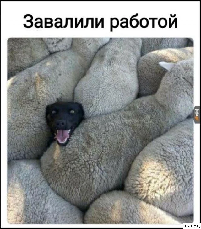 Работа не волк: 20 смешных фото с рабочего места