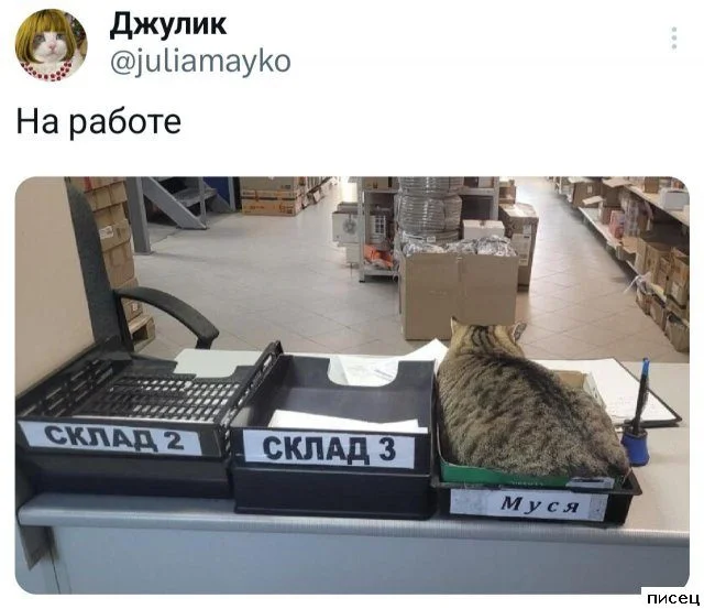 Работа не волк: 20 смешных фото с рабочего места