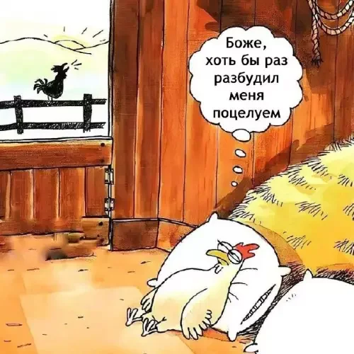 Забавные мемы и картинки для хорошего настроения