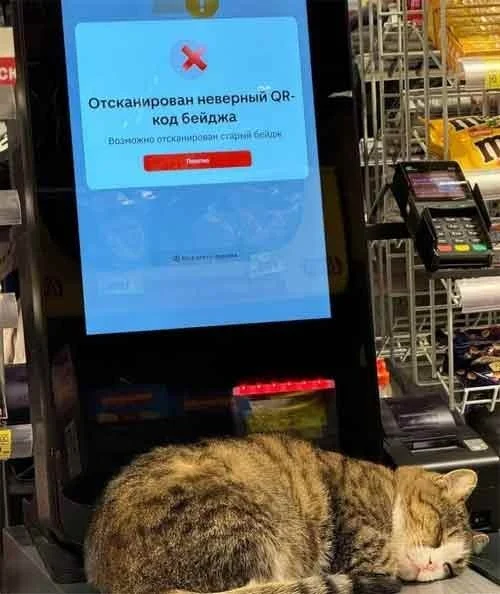 Отборные приколы в мемах и картинках для вашего хорошего настроения