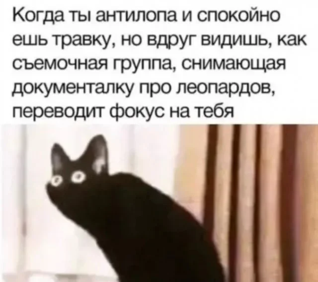 Забавные мемы и картинки для хорошего настроения