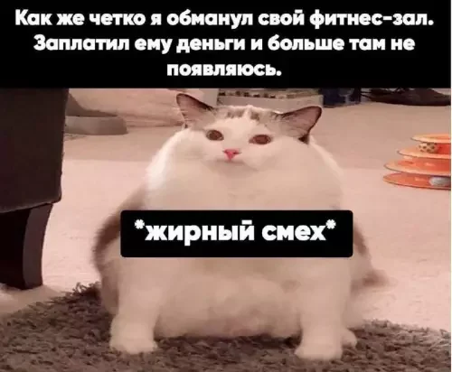 Забавные мемы и картинки для хорошего настроения