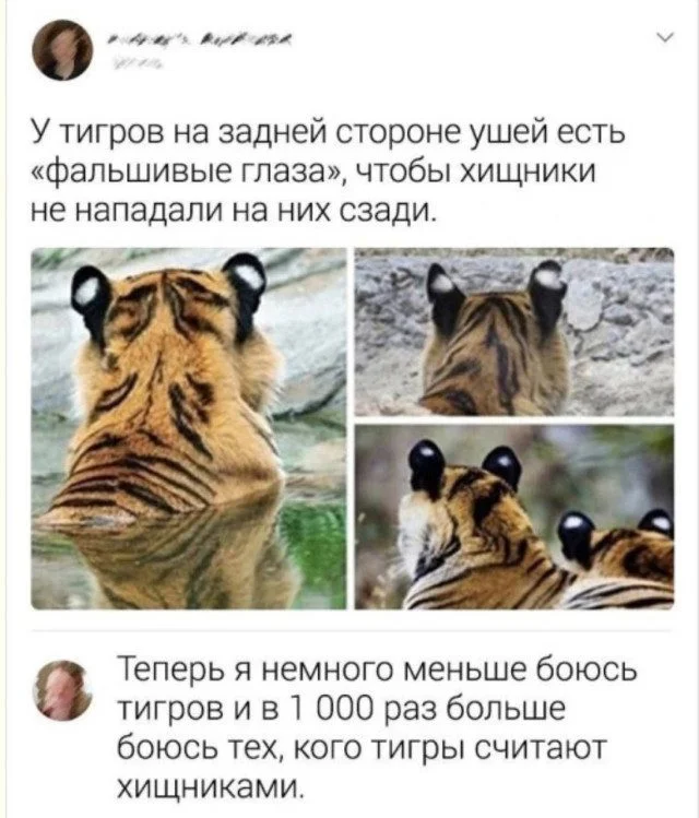 От улыбки до полного абсурда: картинки, в которых не нужно искать смысл