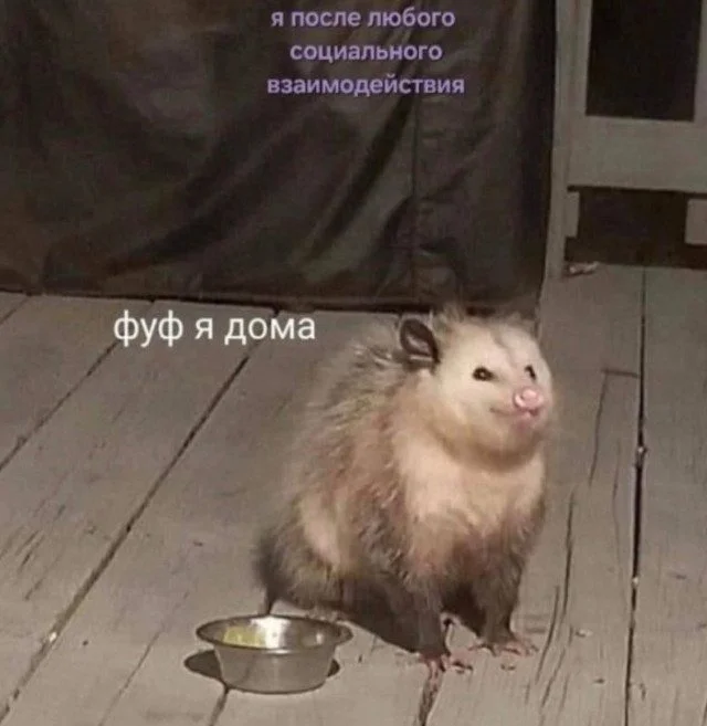 От улыбки до полного абсурда: картинки, в которых не нужно искать смысл